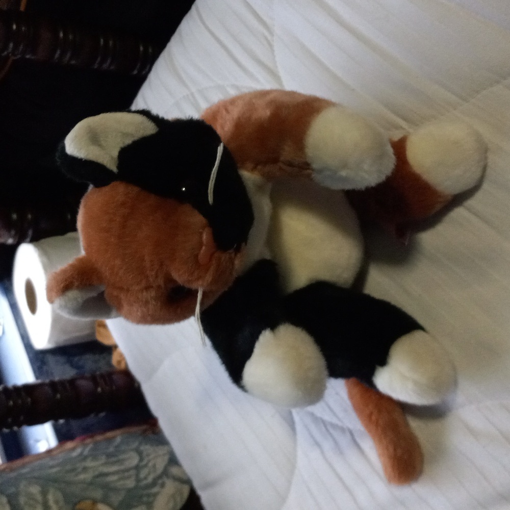 Cat stuffed animal
